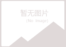 包头青山平淡造纸有限公司